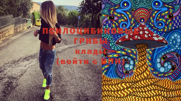 стаф Горнозаводск