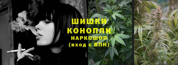 стаф Горнозаводск