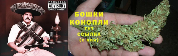 стаф Горнозаводск
