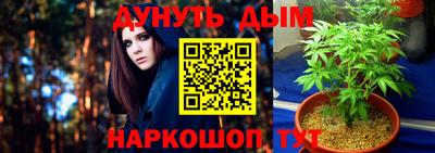 амф Донской
