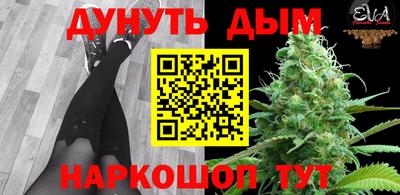 амф Донской
