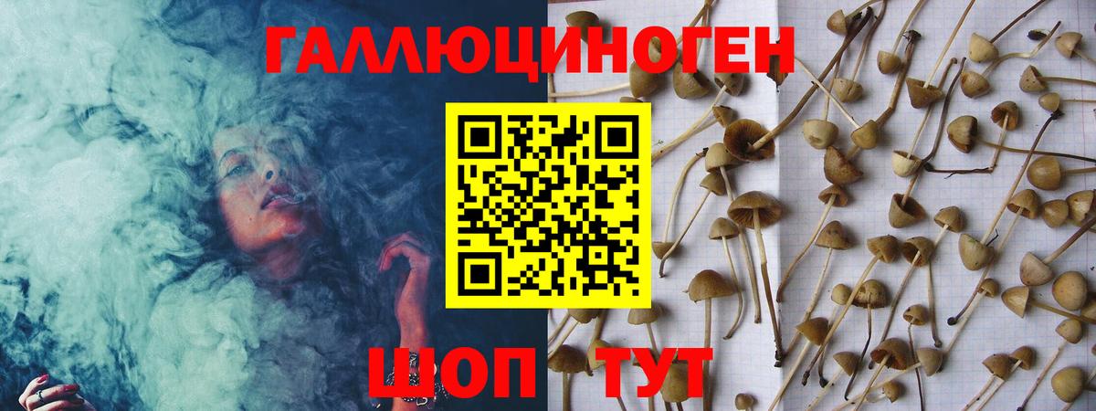 Мценск  Галлюциногенные грибы мицелий  Вход с VPN 